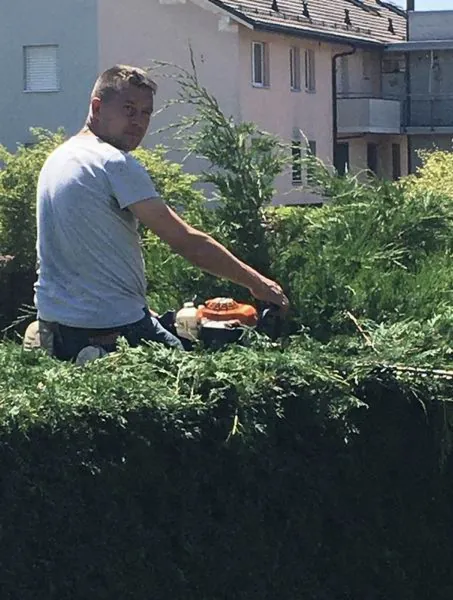 Haie taillée à la machine au-dessus d’un jardin